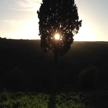 Il Vecchio Molino Quercianella