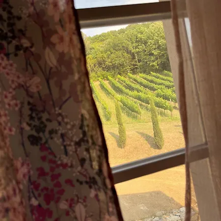 Agriturismo Tenuta Il Molino Çiftlik konaklama
