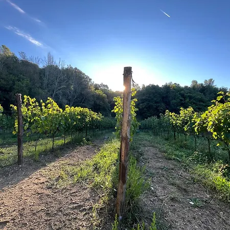 农家乐 Agriturismo Tenuta Il Molino 奎尔西亚内拉