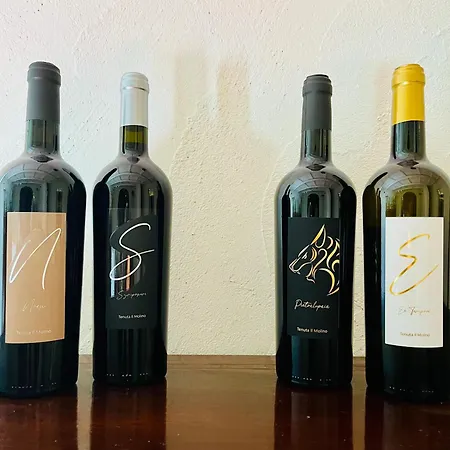Agriturismo Tenuta Il Molino *