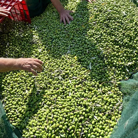 Agriturismo Tenuta Il Molino
