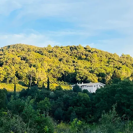 农家乐 Agriturismo Tenuta Il Molino