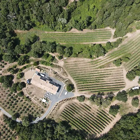 Agriturismo Tenuta Il Molino 农家乐 奎尔西亚内拉