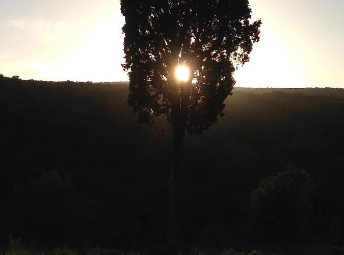 Agriturismo Tenuta Il Molino 奎尔西亚内拉