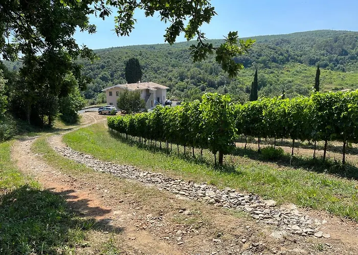 Agriturismo Tenuta Il Molino * 奎尔西亚内拉