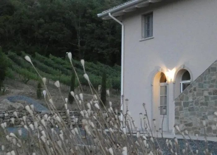Agriturismo Tenuta Il Molino * 奎尔西亚内拉