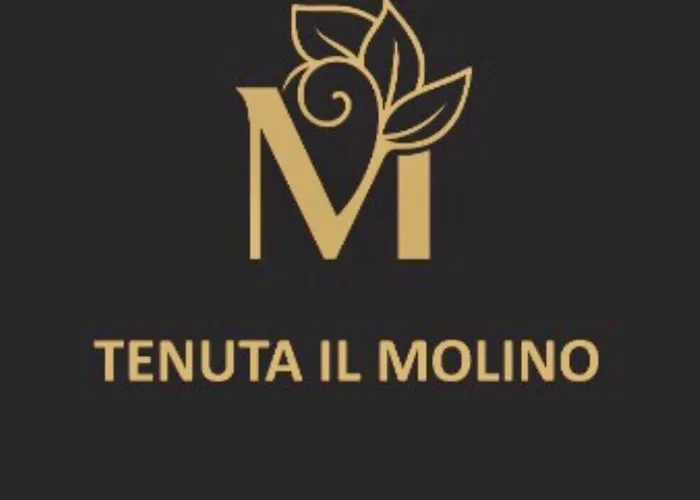 Agriturismo Tenuta Il Molino * 奎尔西亚内拉