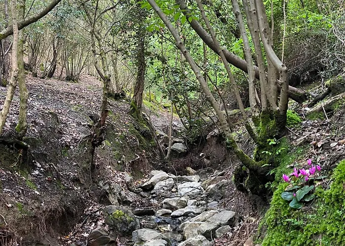 Agriturismo Tenuta Il Molino 奎尔西亚内拉