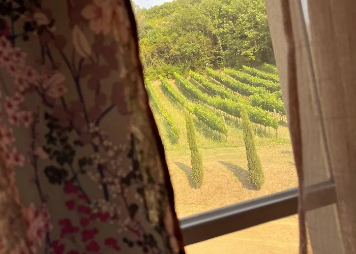 Agriturismo Tenuta Il Molino 农家乐