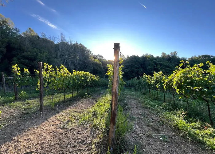 农家乐 Agriturismo Tenuta Il Molino 奎尔西亚内拉