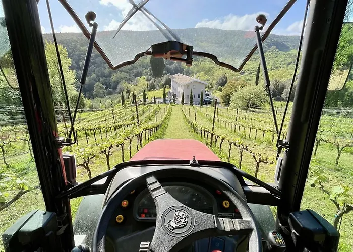 Agriturismo Tenuta Il Molino 农家乐 *