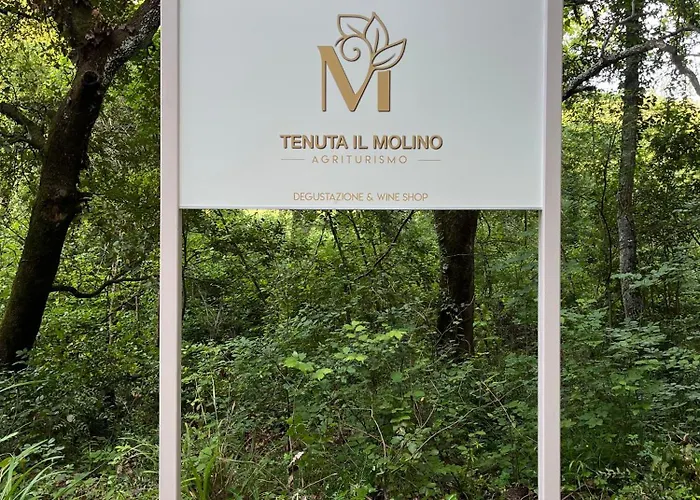 Agriturismo Tenuta Il Molino