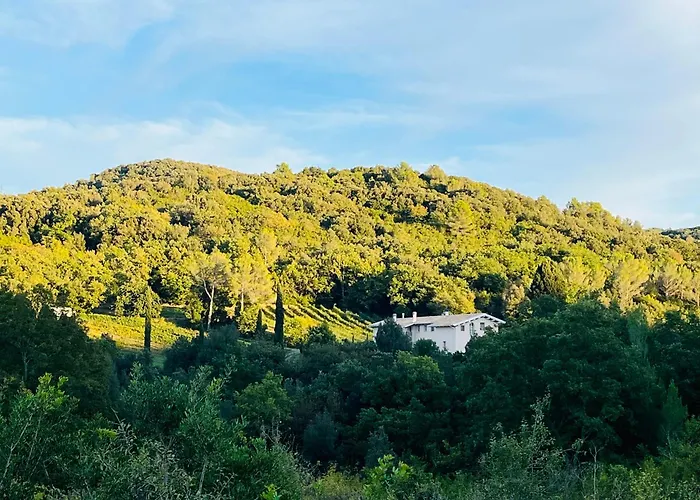 农家乐 Agriturismo Tenuta Il Molino