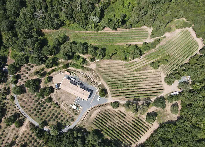 Agriturismo Tenuta Il Molino 农家乐 奎尔西亚内拉